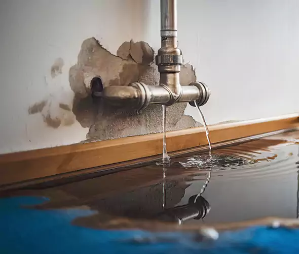 Professional Water Damage Restoration Experts in Queens, NY — Fast, Reliable & Certified